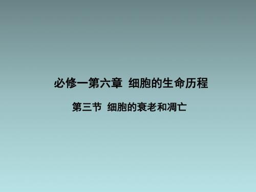 专题6.3 细胞的衰老、凋亡和癌变(课件)人教版高一生物同步精品课堂(基础版)(必修1)