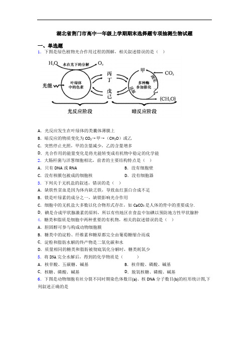 湖北省荆门市高中一年级上学期期末选择题专项抽测生物试题