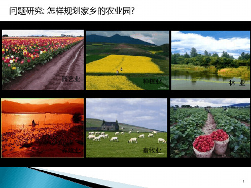 第一章设施农业园区规划与设计参考课件