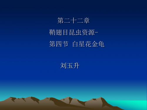 第二十二章  鞘翅目昆虫资源(4)-白星花金龟
