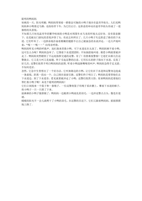 聪明的鸭妈妈