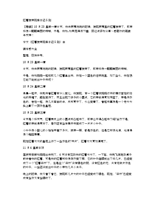 红薯发芽观察日记5则