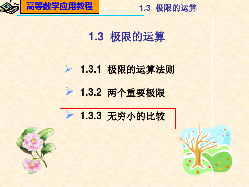 无穷小的比较及函数的连续性