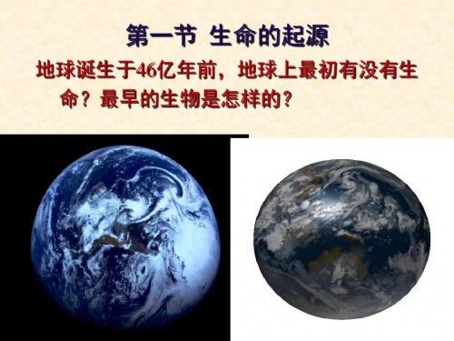 八年级下册生物课件-5.1.1《生命的起源》课件2 济南版