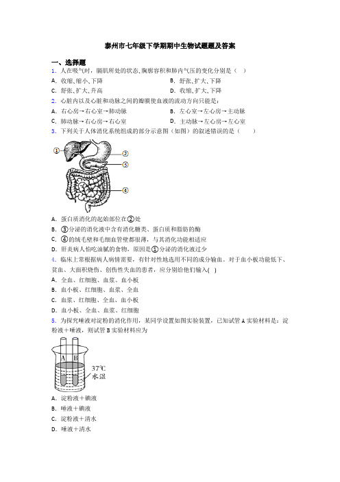 泰州市七年级下学期期中生物试题题及答案