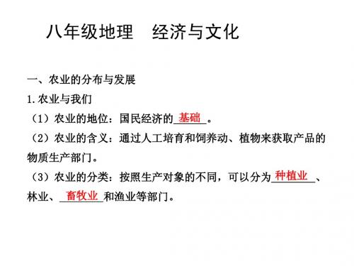 八年级地理经济与文化复习课件