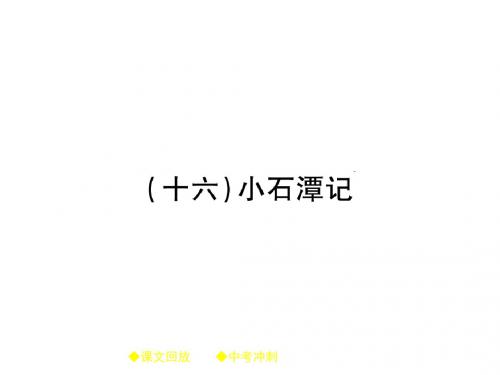 中考语文总复习指导课件 (16)小石潭记