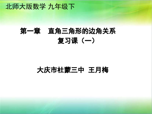 数学北师大版九年级下册《回顾与思考》课件公开课(11)