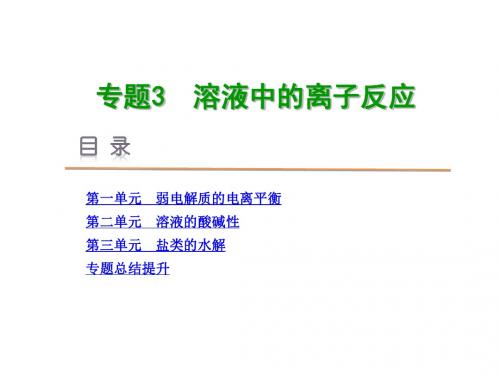 【学练考】2015-2016(新高考)苏教版化学选修4专题3溶液中的离子反应