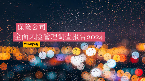 2024年中国保险公司全面风险管理调查报告