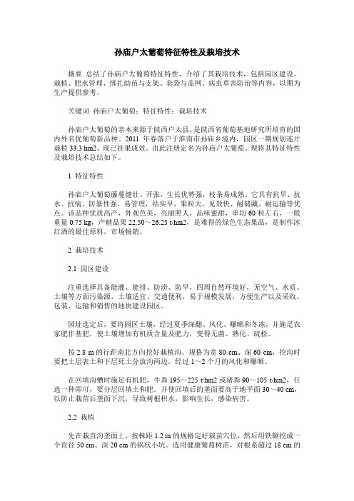 孙庙户太葡萄特征特性及栽培技术