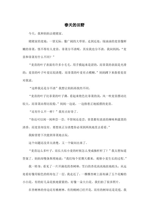 春天的田野_小学四年级作文700字