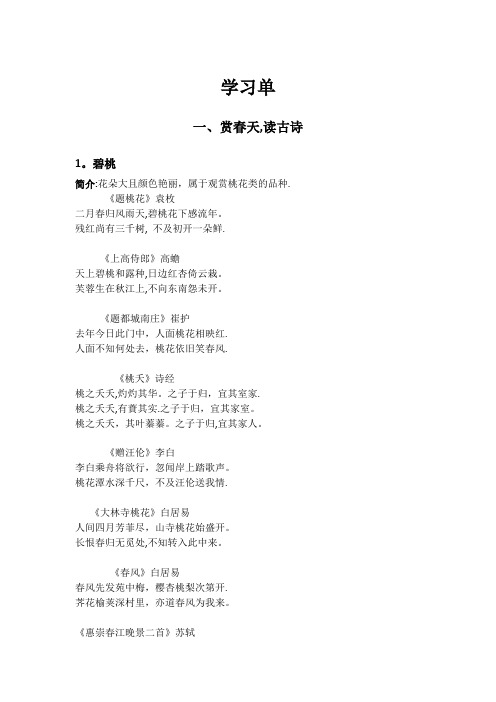 植物相关诗句