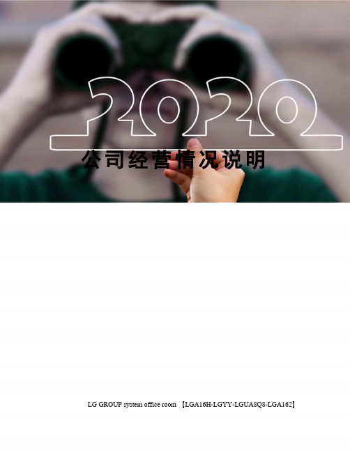 公司经营情况说明