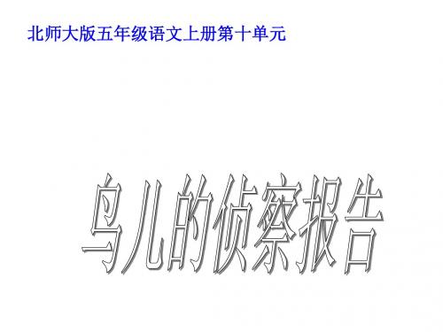 【北师大版】五年级语文上册《鸟儿的侦察报告》课件