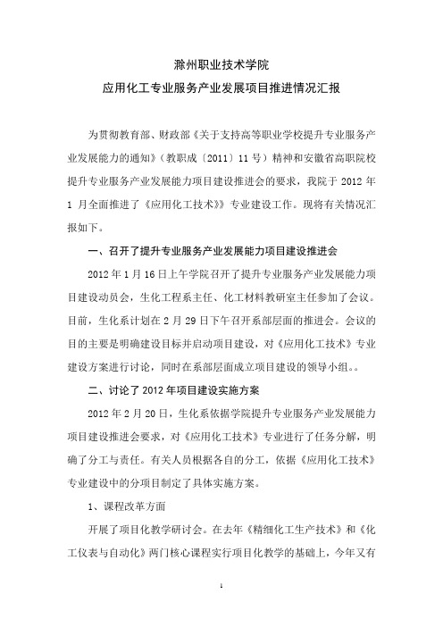 应用化工专业服务产业发展项目推进情况汇报