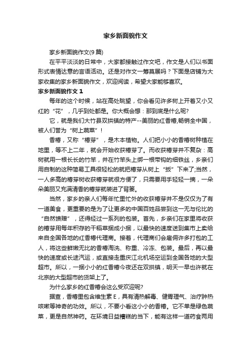家乡新面貌作文