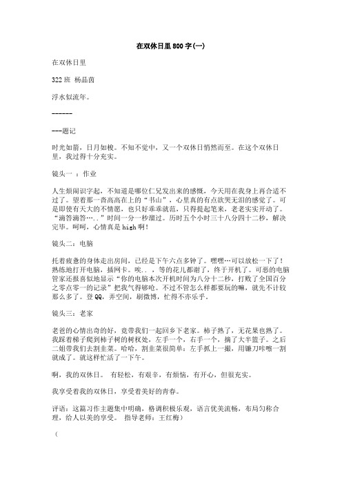 在双休日里800字