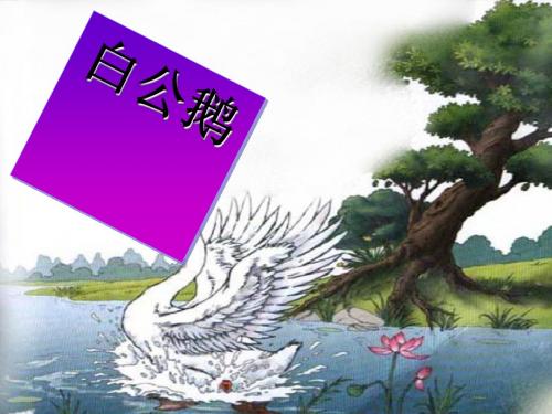 四年级语文上册 第4单元 14.白公鹅课堂教学课件2 新人教版