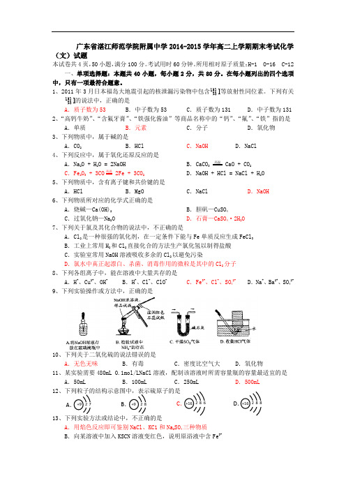 湛江师范学院附属中学2014-2015学年高二上学期期末考试化学试题及答案(文)