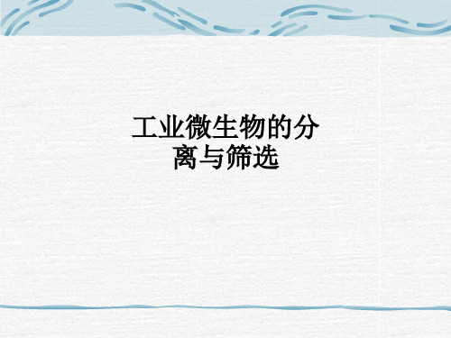 工业微生物的分离与筛选ppt课件