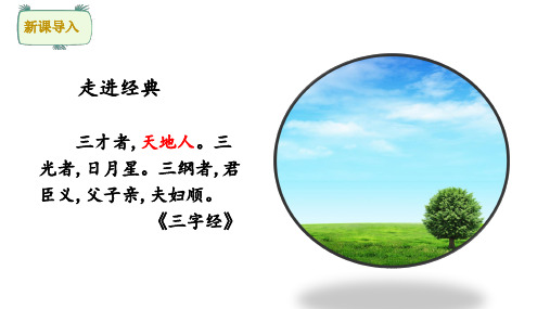 部编版一年级语文上册识字 1 天地人 课件(共20张PPT)
