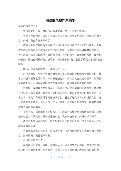 沿途的风景作文精华