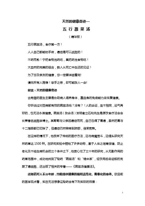 五 行 蔬 菜 汤