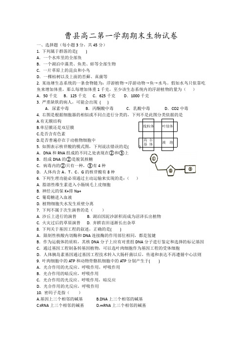 曹县高二第一学期期末生物试卷7