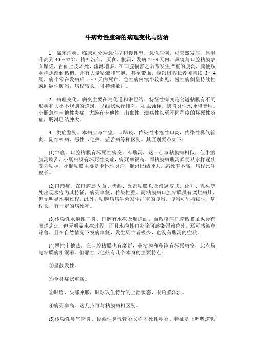 牛病毒性腹泻的病理变化与防治