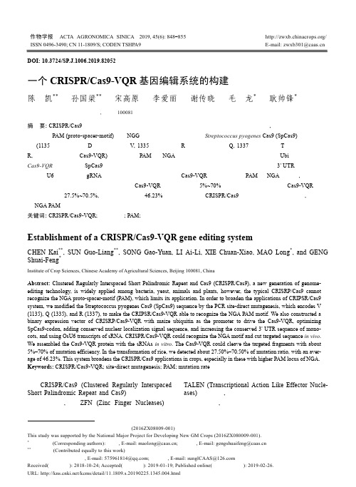 一个CRISPR/Cas9-VQR基因编辑系统的构建