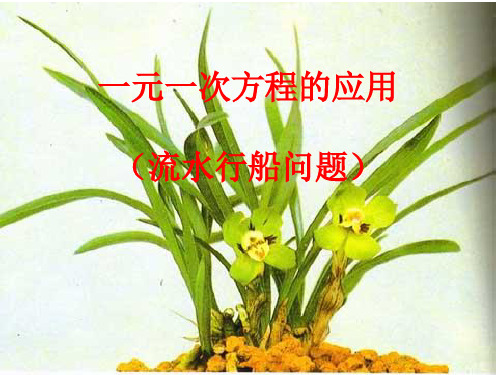 一元一次方程的应用流水行船问题