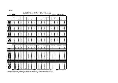 沙包镇留守妇女基本情况汇总表、花名册8.13