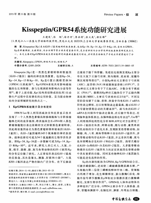Kisspeptin／GPR54系统功能研究进展