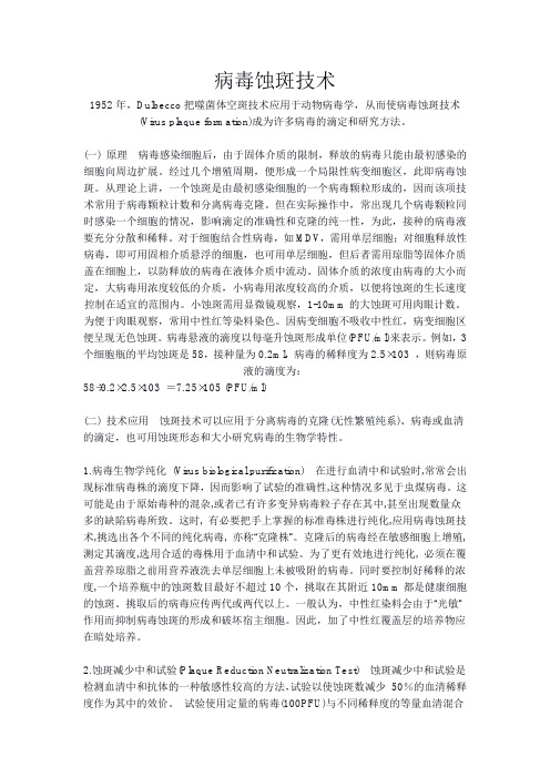 病毒蚀斑技术