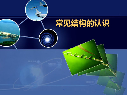1.常见结构的认识PPT课件