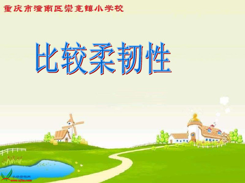 三年级上册科学课件比较韧性教科版 (共14页)PPT