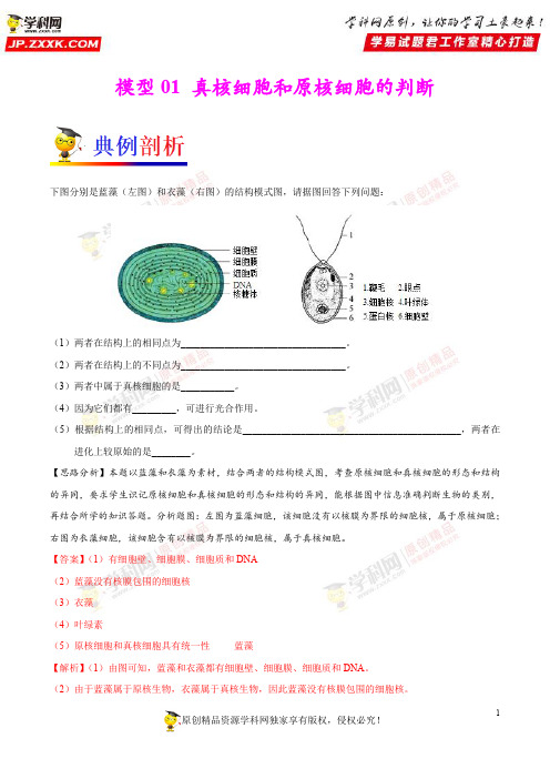 模型01 真核细胞和原核细胞的判断-备战高考生物之模型解题法(解析版) 