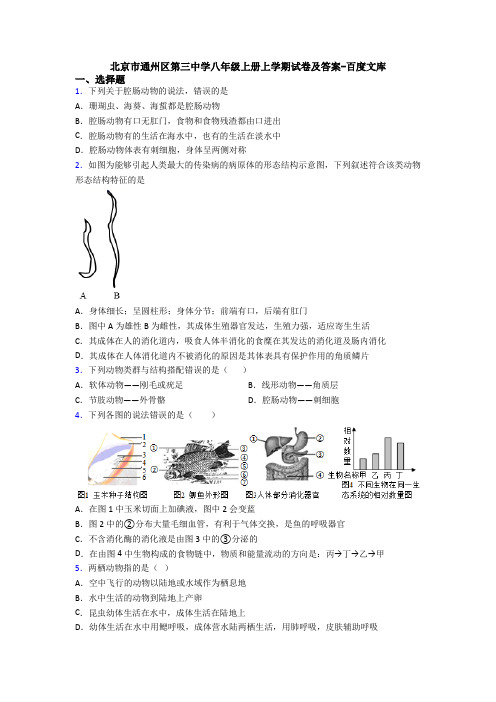 北京市通州区第三中学八年级上册上学期试卷及答案-百度文库