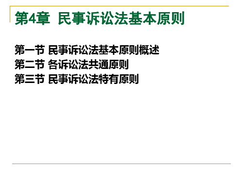 民事诉讼法基本原则PPT课件