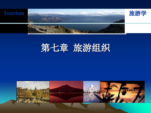 旅游组织完整版文档