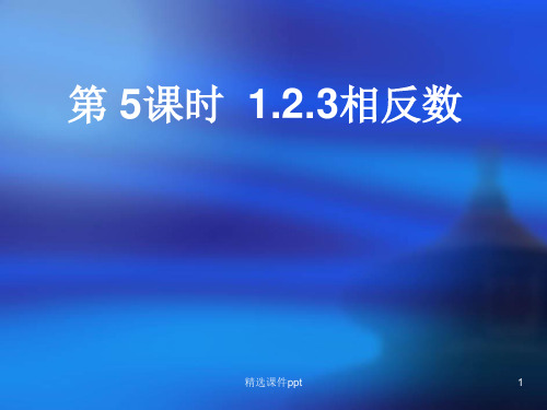 新人教版初中数学七年级上册第一章《1.2.3相反数》精品