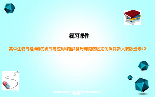 高中生物专题4酶的研究与应用课题3酵母细胞的固定化课件新人教版选修12