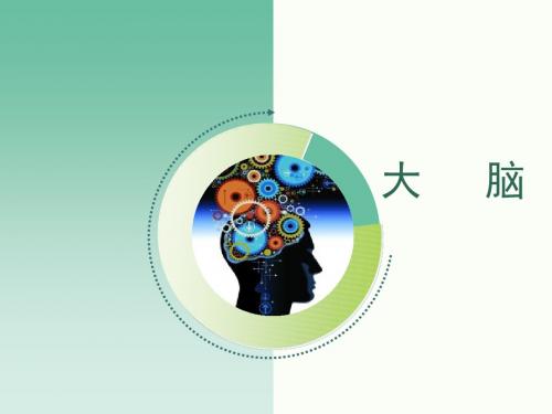 最新苏教版小学科学五年级下册《1.大脑》公开课课件