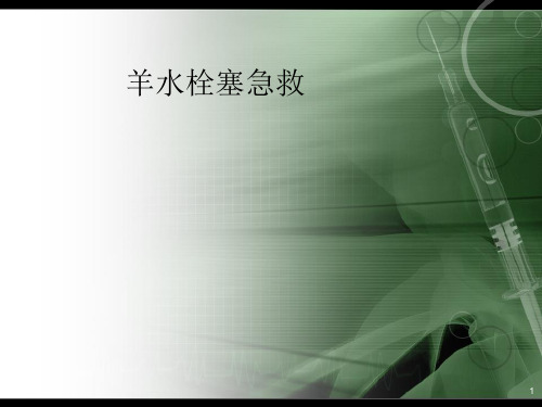 羊水栓塞的急救PPT课件