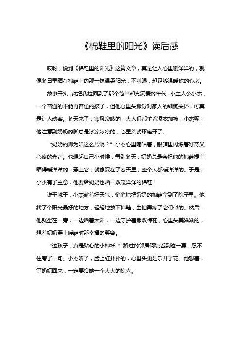 《棉鞋里的阳光》读后感