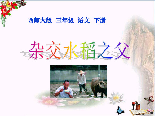 【小学教育】三年级下册语文第35课《杂交水稻之父 教学PPT课件》