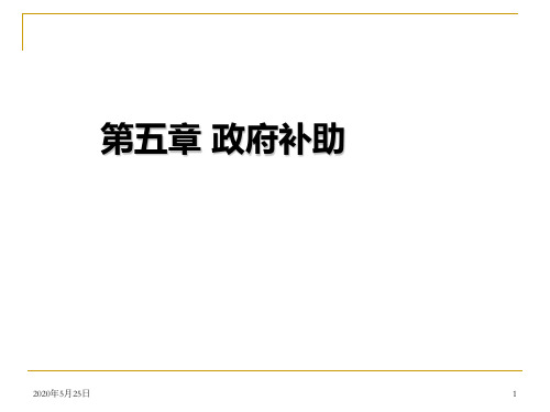 第五章 政府补助