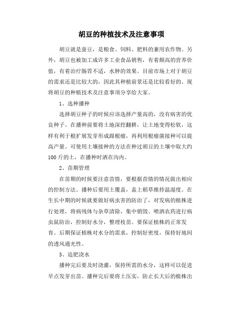 胡豆的种植技术及注意事项