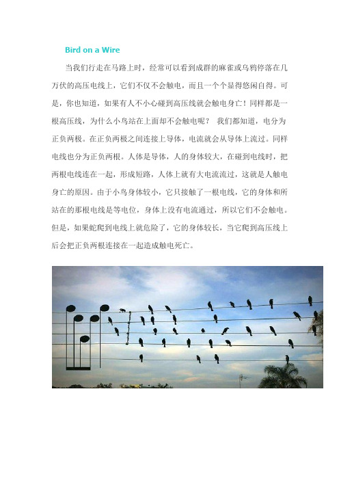 电线上的小鸟